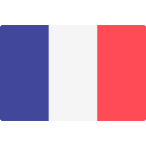 French (France) language